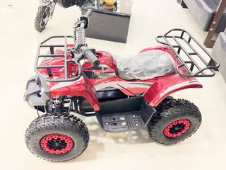 Mini Quad Eléctrico 800W