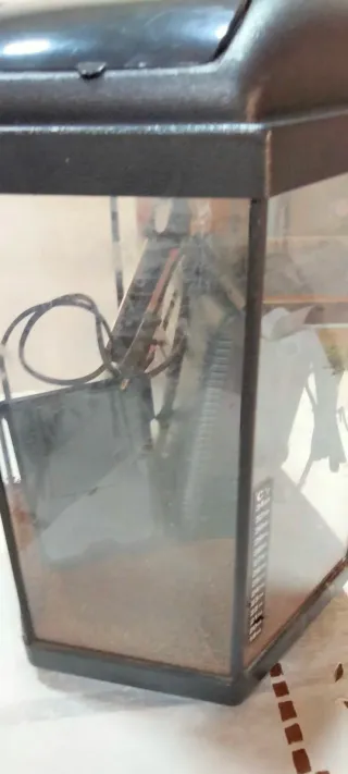 Pecera Negra y Transparente