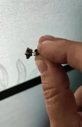 Conjunto Plata "Pandora" Estrellas