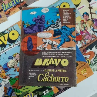 LOTE VARIADO REVISTA JUVENIL BRAVO