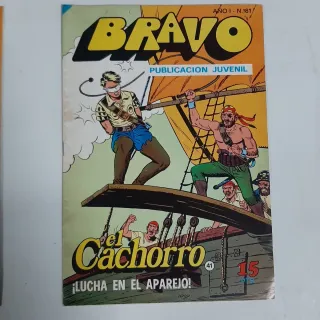 LOTE VARIADO REVISTA JUVENIL BRAVO