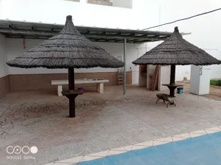 Sombrilla de junco para terraza o piscina