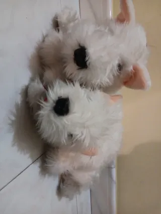 Peluche perros blancos