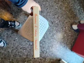 Luciano Pavarotti - Panorama di Musica Immortale