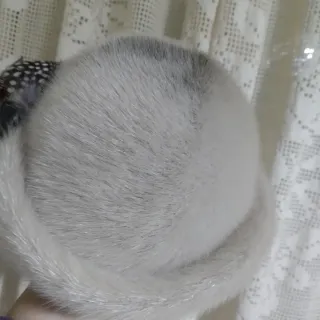 Sombrero casquete foca gris y blanco