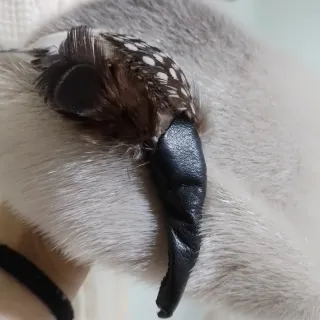Sombrero casquete foca gris y blanco