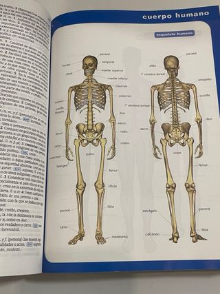 Diccionario Escolar de la Lengua Española