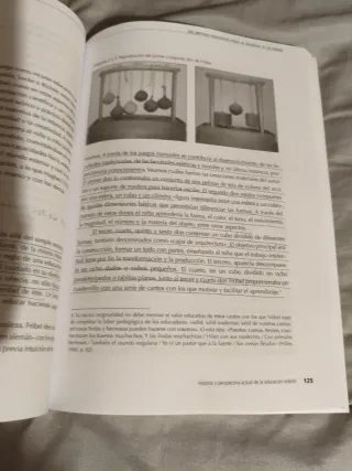 Historia y perspectiva actual de la educación i...