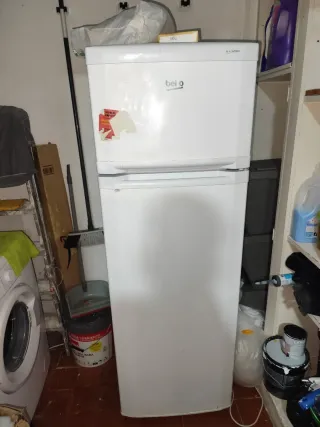 Nevera Beko Blanca 54x54x160