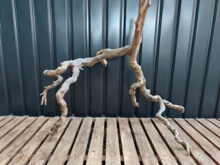 Raíz/tronco Decoración acuario OFERTA SOLO HOY!