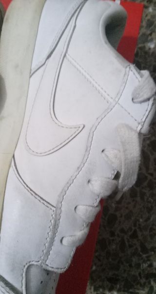 Zapatillas Nike Dunk SB Blancas