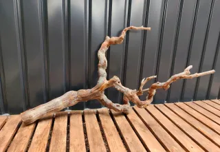 Raíz/tronco Decoración acuario OFERTA SOLO HOY!