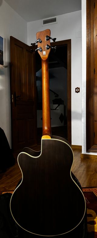 Warwick Alien 4 Bajo Electroacústico + Funda