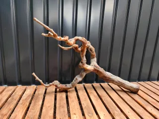 Raíz/tronco Decoración acuario OFERTA SOLO HOY!