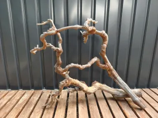 Raíz/tronco Decoración acuario OFERTA SOLO HOY!