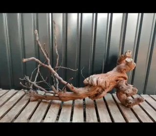 Raíz/tronco Decoración acuario OFERTA SOLO HOY!