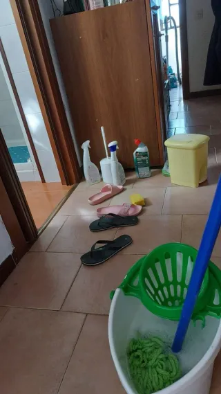 Limpieza de casas por hora disponibilidad inmediat