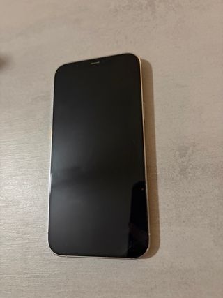 iPhone 12 Pro Max Plata