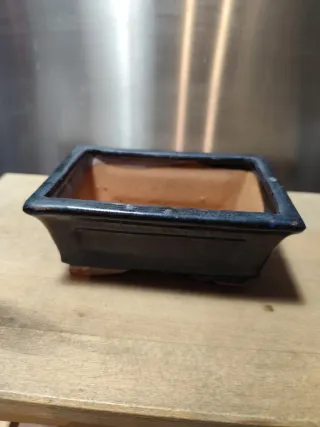 Macetas de cerámica para bonsái 100x150