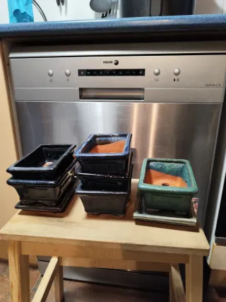 Macetas de cerámica para bonsái 100x150