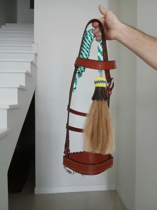 Jaquima para mulo o burro