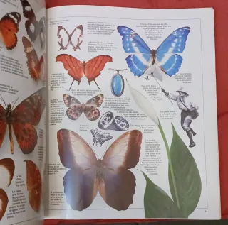 Enciclopedia visual de los seres vivos (Tomo III)