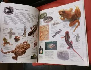 Enciclopedia visual de los seres vivos (Tomo III)