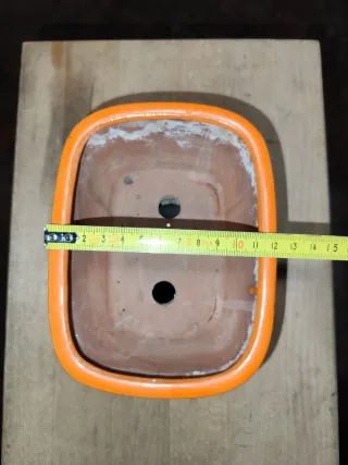 Macetas de cerámica para bonsái