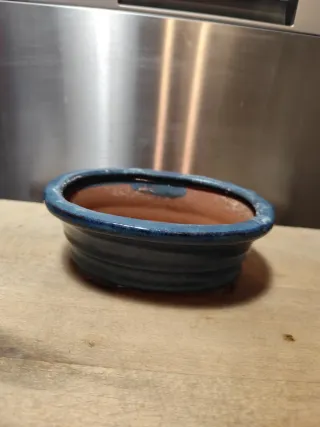 Macetas de cerámica para bonsái