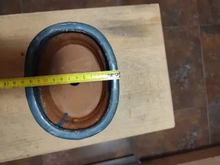 Macetas de cerámica para bonsái