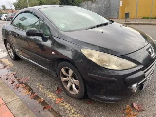 Peugeot 307 2006