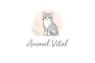 Cuidado de gatos a domicilio en Toledo