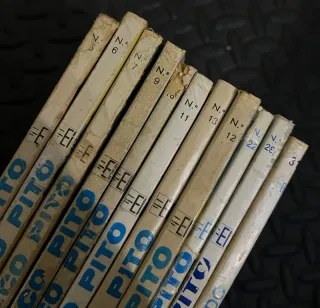 Lote 18 Comics Paco Pito