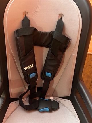 Thule Ride Along Silla Portabebés Bici