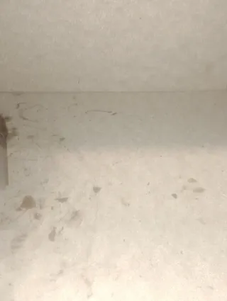 Biela y Pistón Lombardini 15LD350