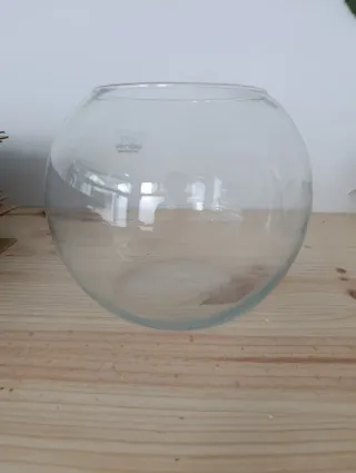 Jarrón acuario de cristal. Hay tres unidades