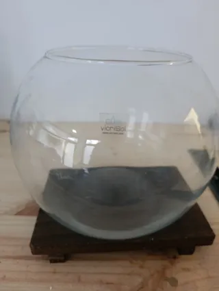 Jarrón acuario de cristal. Hay tres unidades