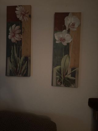 Alquiler habitación Albacete