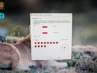 Chitarra per clone hero