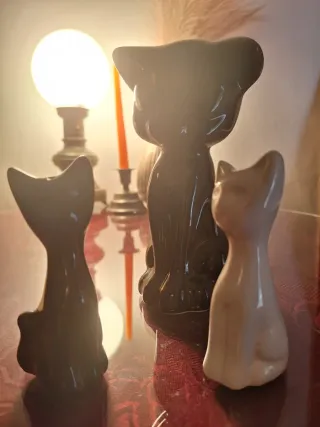 Saliere e pepaio Gattini in Ceramica + Gatto