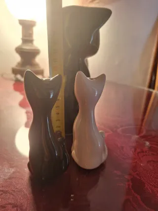 Saliere e pepaio Gattini in Ceramica + Gatto