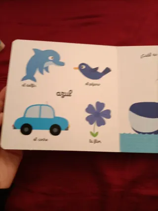 El pequeño libro de los colores