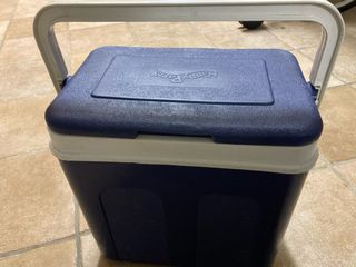 Nevera portátil azul y blanca