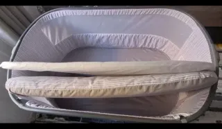 Minicuna colecho Giordani