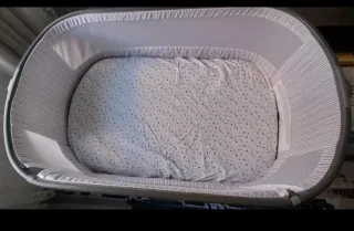 Minicuna colecho Giordani