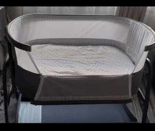 Minicuna colecho Giordani