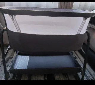 Minicuna colecho Giordani