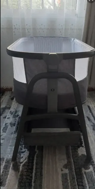 Minicuna colecho Giordani