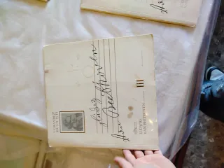 Ludwig van Beethoven i grandi musicisti