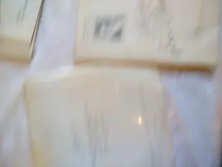 Ludwig van Beethoven i grandi musicisti